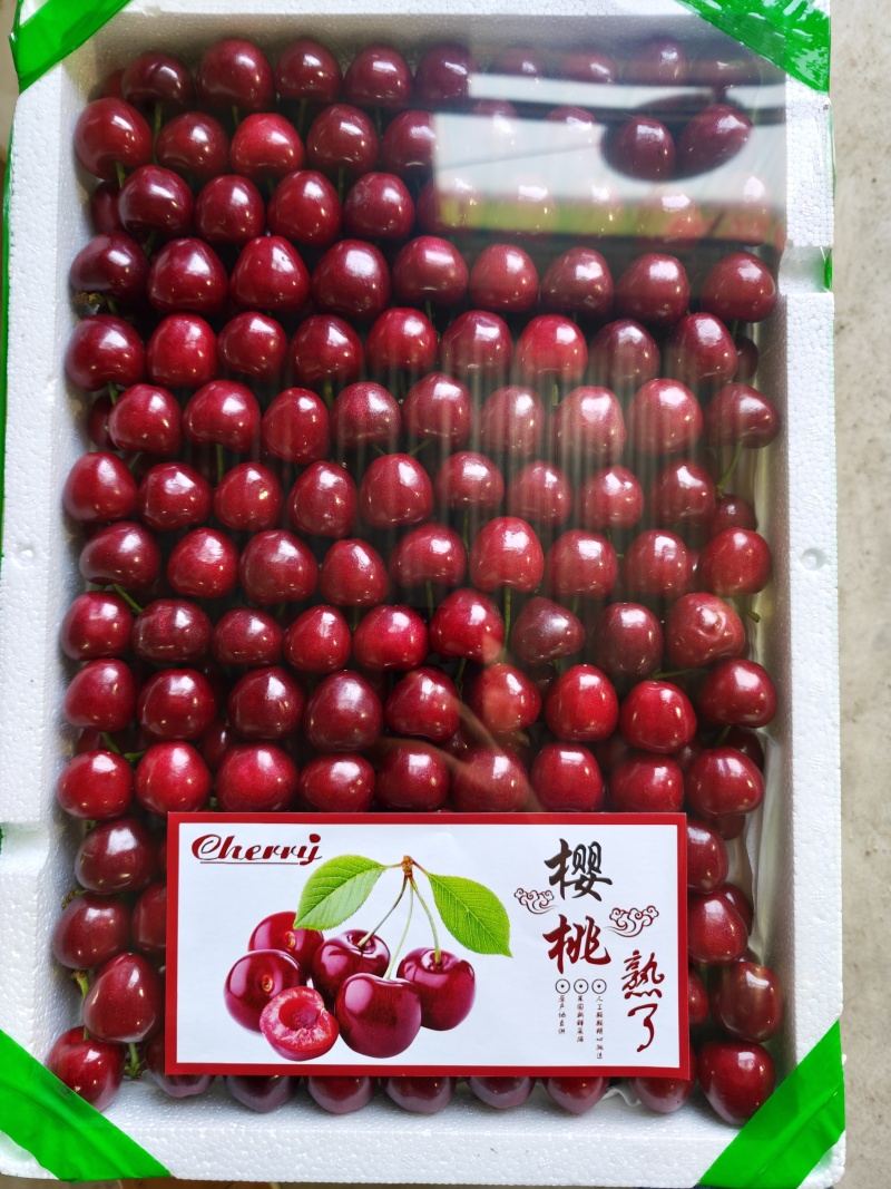 潍坊大棚樱桃，美早大量上市，价格超级便宜