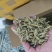 小黄鱼鱼干山根鱼干山坑鱼干爬地虎鱼干