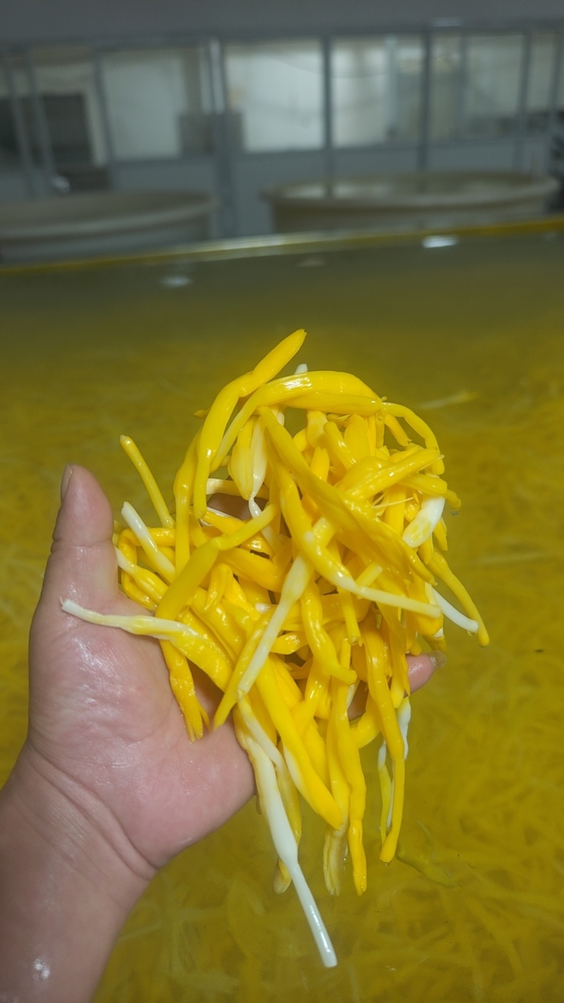 清水黄花菜
