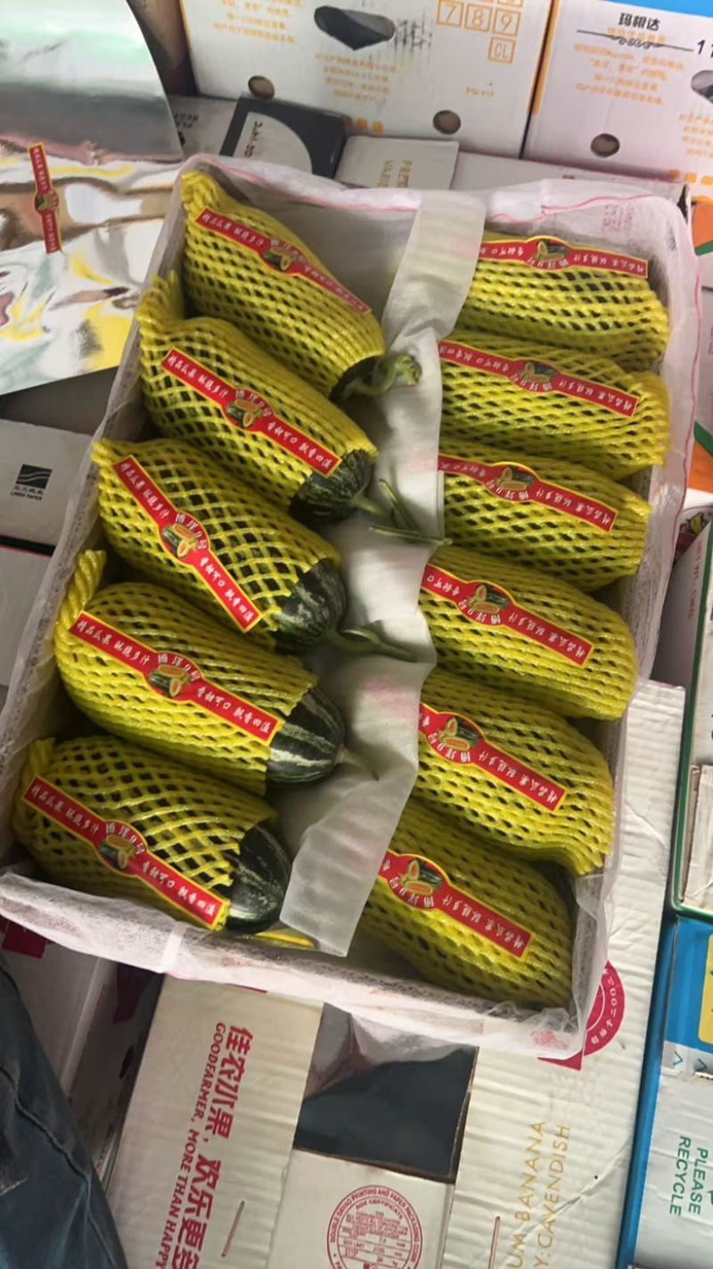 河南甜瓜，博洋九甜瓜，香酥可口，现摘现发产地直供！
