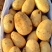 精选黄心土豆（沃土5号，实验1号v7希森6号太和九号）