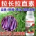 蔬菜专用拉直拉长叶面肥膨大剂膨大素拉长素微量元素叶面喷施