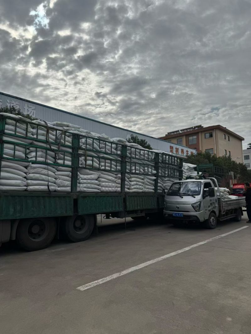 印度进口孜然大颗粒过筛过风各种品质常年批发