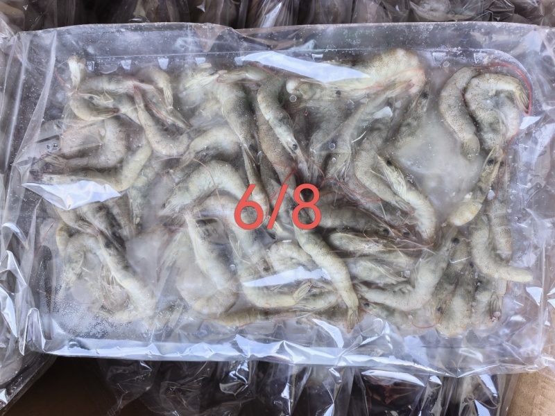 小河虾