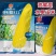 申科甜811水果玉米种子生吃甜脆多汁鲜食黄甜玉米大棒种籽