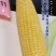申科甜811水果玉米种子生吃甜脆多汁鲜食黄甜玉米大棒种籽