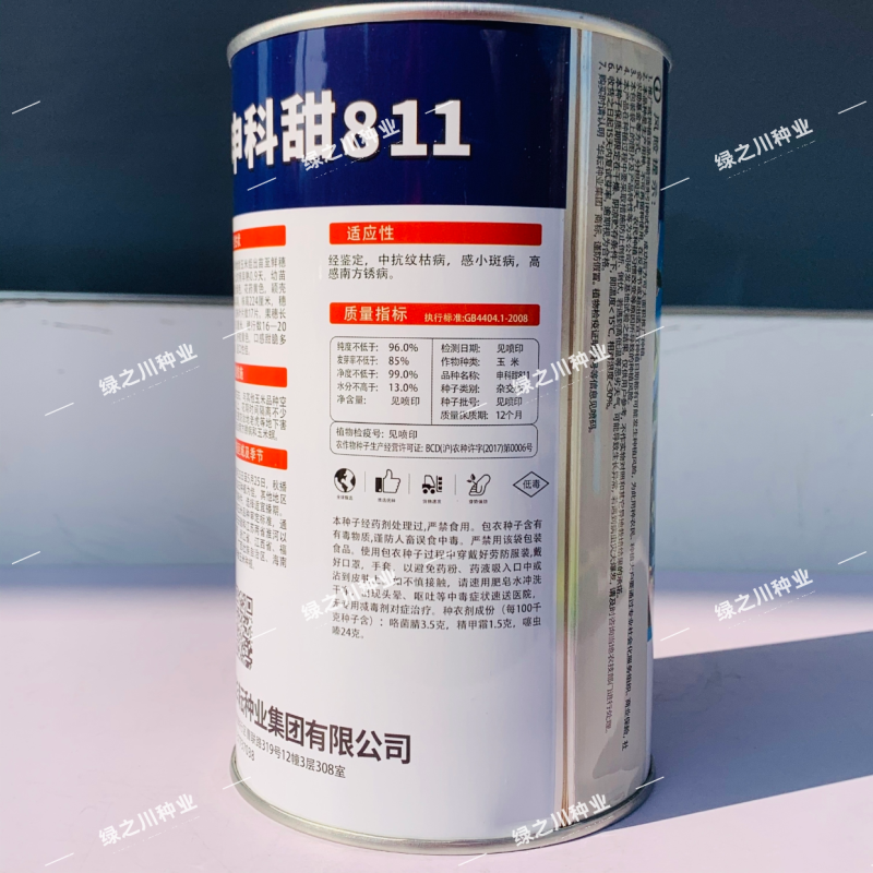 申科甜811水果玉米种子生吃甜脆多汁鲜食黄甜玉米大棒种籽