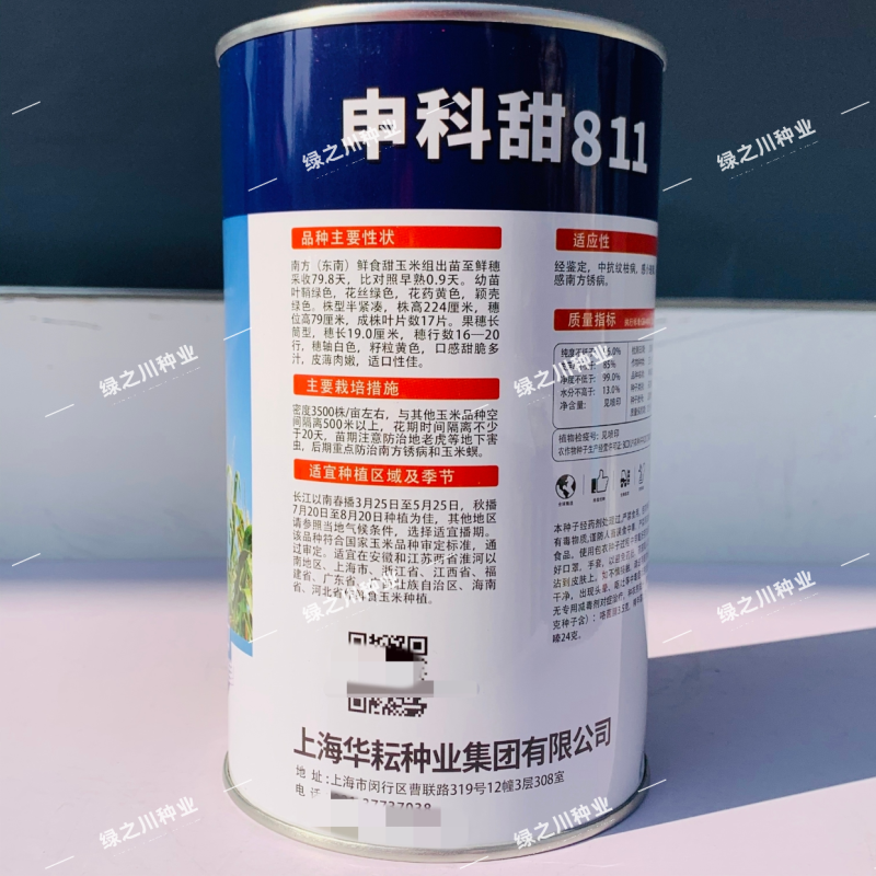 申科甜811水果玉米种子生吃甜脆多汁鲜食黄甜玉米大棒种籽