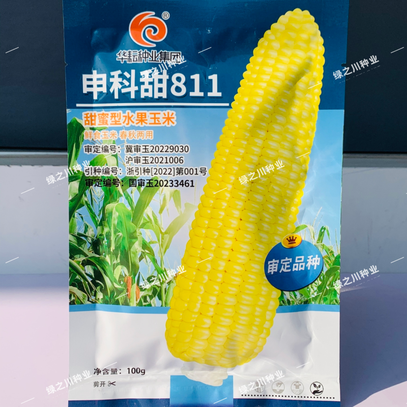 申科甜811水果玉米种子生吃甜脆多汁鲜食黄甜玉米大棒种籽