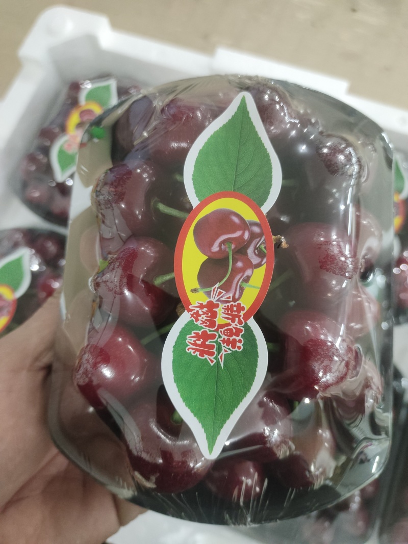 青岛平度大樱桃