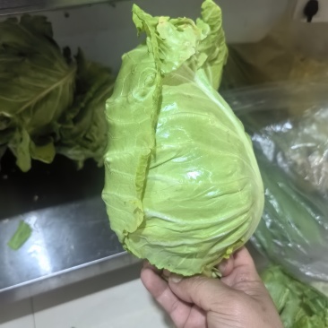 精品牛心甘蓝，量大从优，可视频看货