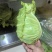 精品牛心甘蓝，量大从优，可视频看货