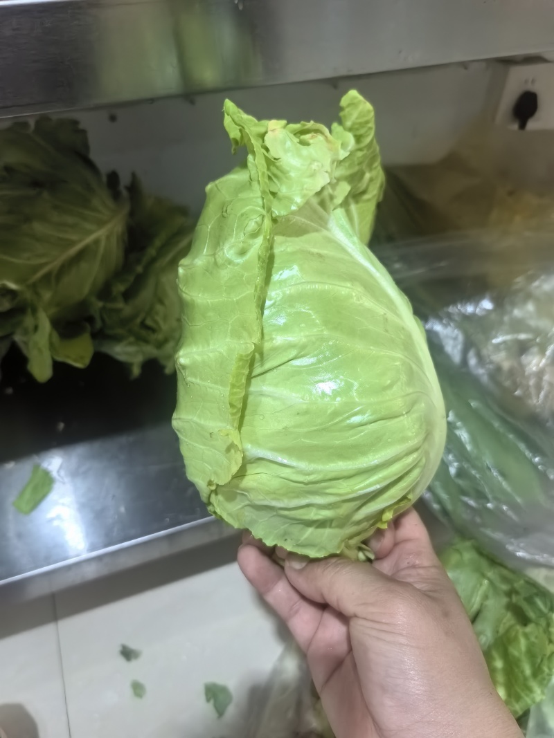 精品牛心甘蓝，量大从优，可视频看货