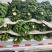 【精品批发】广西苹果焦保质保量品质优一件代发包邮产地直发