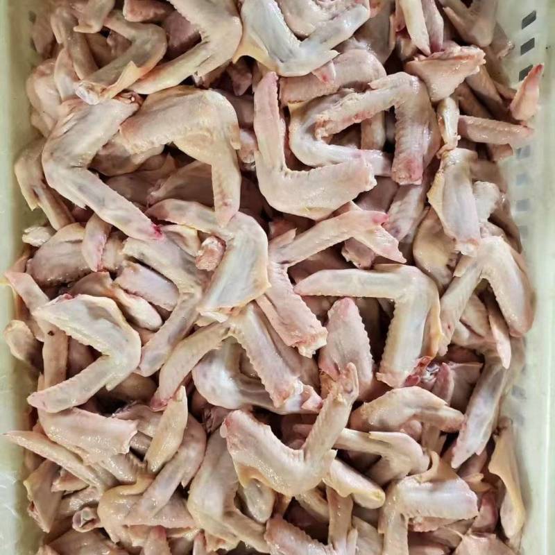 厂家清库大板小鸭翅60吨喂狗做饲料都可以