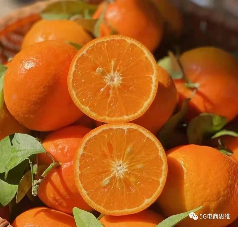 云南高原沃柑有籽无籽沃柑