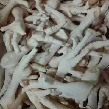 50+单冻鸡爪