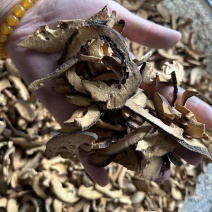 炒纸壳现货拍摄过筛道地药材