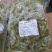 【水煮毛豆】全熟香辣毛豆真空包装5斤袋装烧烤火锅宵夜**