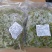 【水煮毛豆】全熟香辣毛豆真空包装5斤袋装烧烤火锅宵夜**