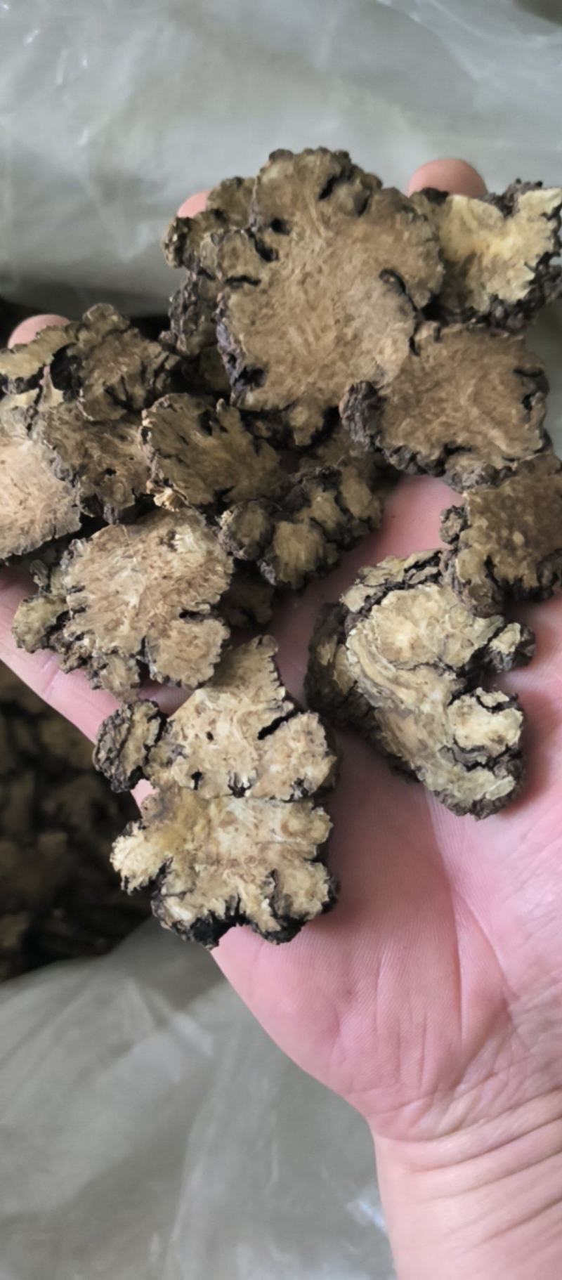 川芎中药材批发川芎质量保证量大从优