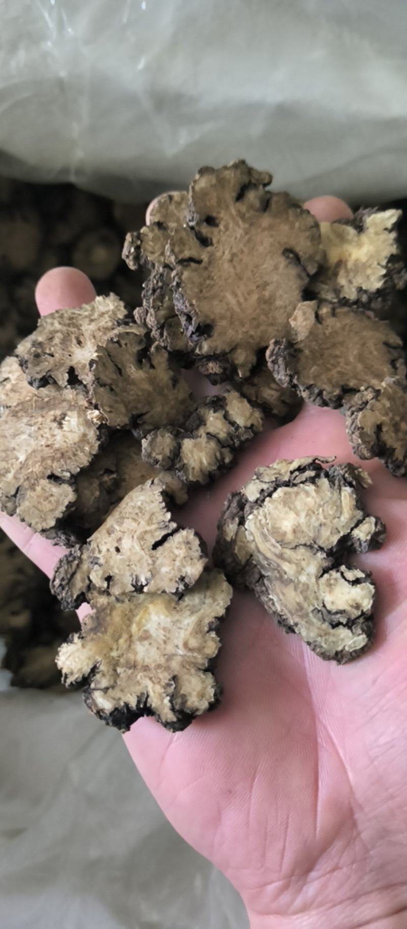 川芎中药材批发川芎质量保证量大从优