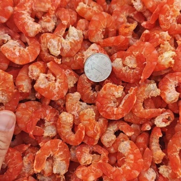 【虾仁】滨州虾仁原干原色海米大虾仁量大从优欢迎咨询