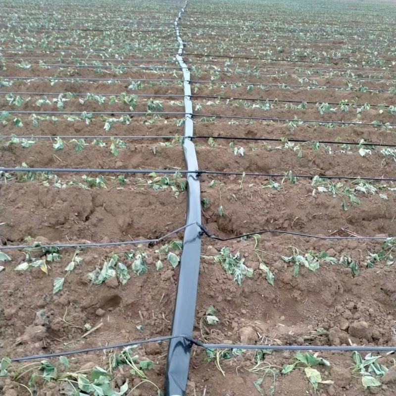 16mm农用贴片式滴灌带滴水管草莓蔬菜大棚膜下节水灌溉水