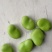 丽水蚕豆，白皮豆，青皮豆，大量上市