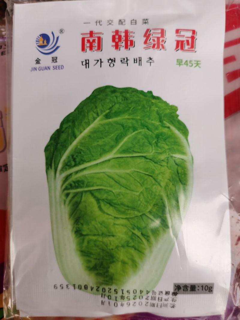 夏宝吉夏南韩绿冠抗热白菜种子抗病品质好耐热品种