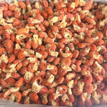 特级原料虾尾