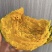云南高原贝贝南瓜