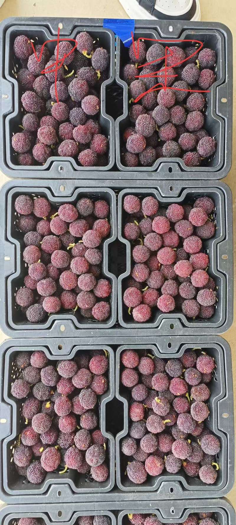 云南石屏杨梅