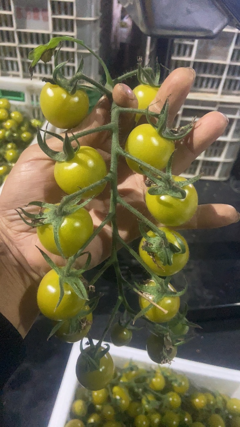 精品串青甜，树上熟，做不一样的串，做不一样的甜