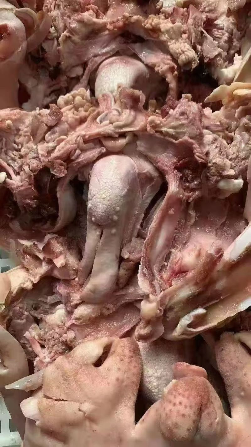 羊头肉