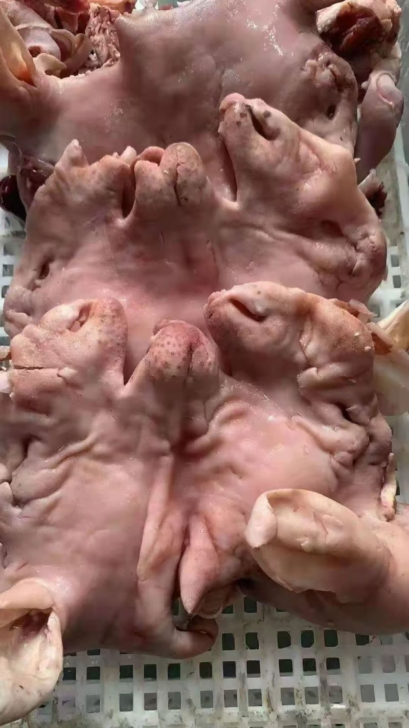 羊头肉