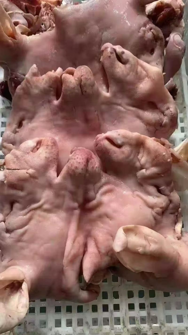 羊头肉