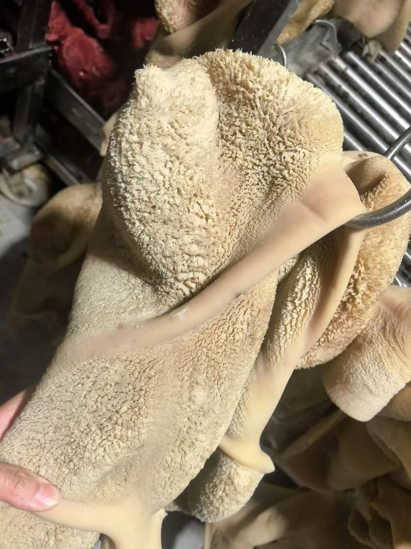 纯干熟牛肚
