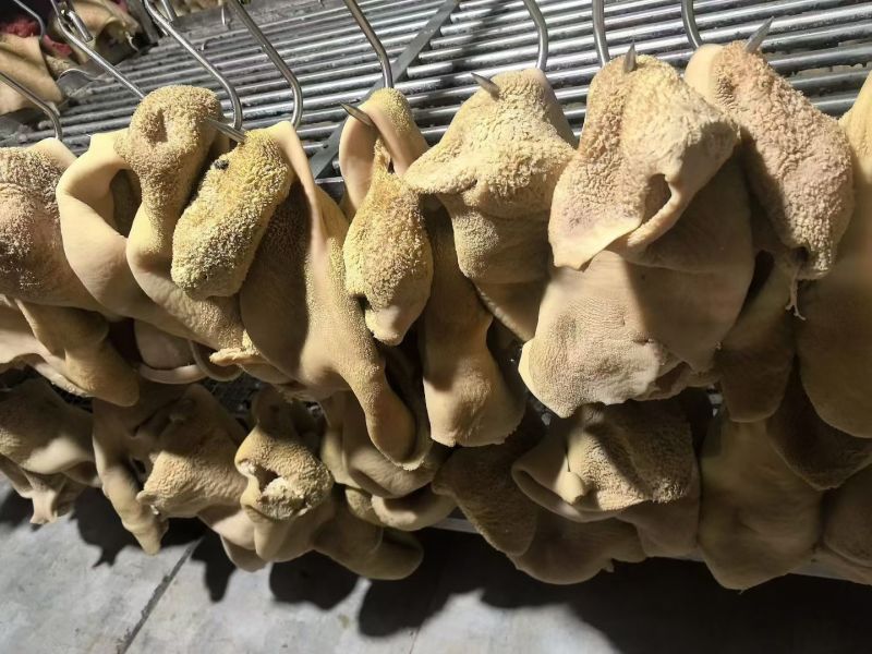 纯干熟牛肚