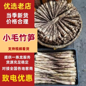 梦笋，小毛竹笋/产区直发/货源充足/现采现发/大量有货