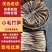 梦笋，小毛竹笋/产区直发/货源充足/现采现发/大量有货