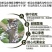 斩腊介螺虫噻嗪酮果树柑橘介壳虫蔬菜农药杀虫剂