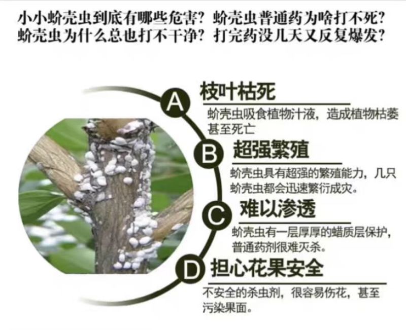 斩腊介螺虫噻嗪酮果树柑橘介壳虫蔬菜农药杀虫剂