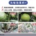 斩腊介螺虫噻嗪酮果树柑橘介壳虫蔬菜农药杀虫剂