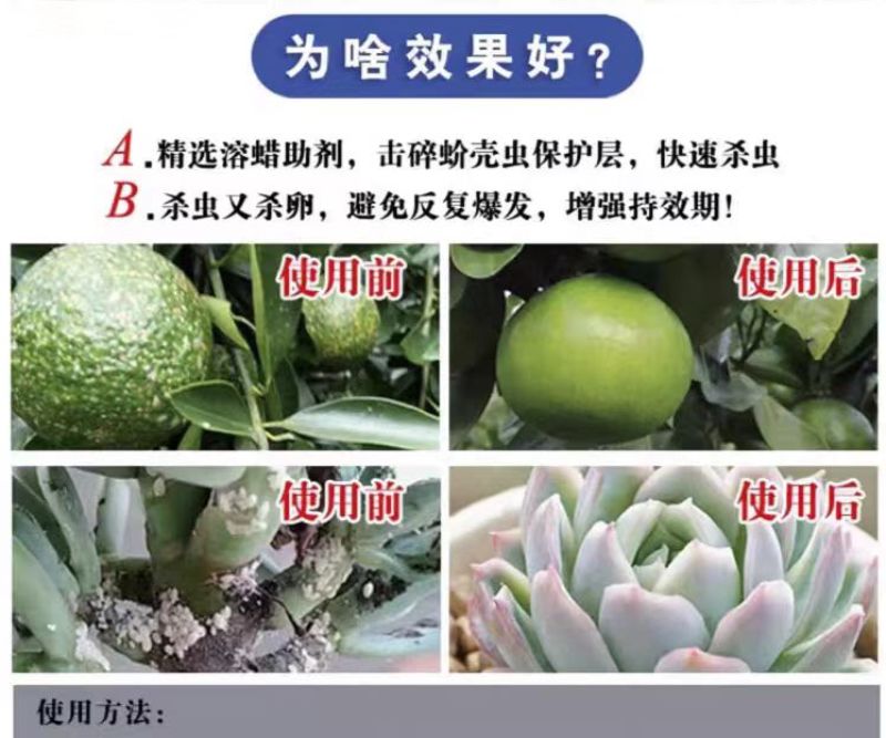 斩腊介螺虫噻嗪酮果树柑橘介壳虫蔬菜农药杀虫剂