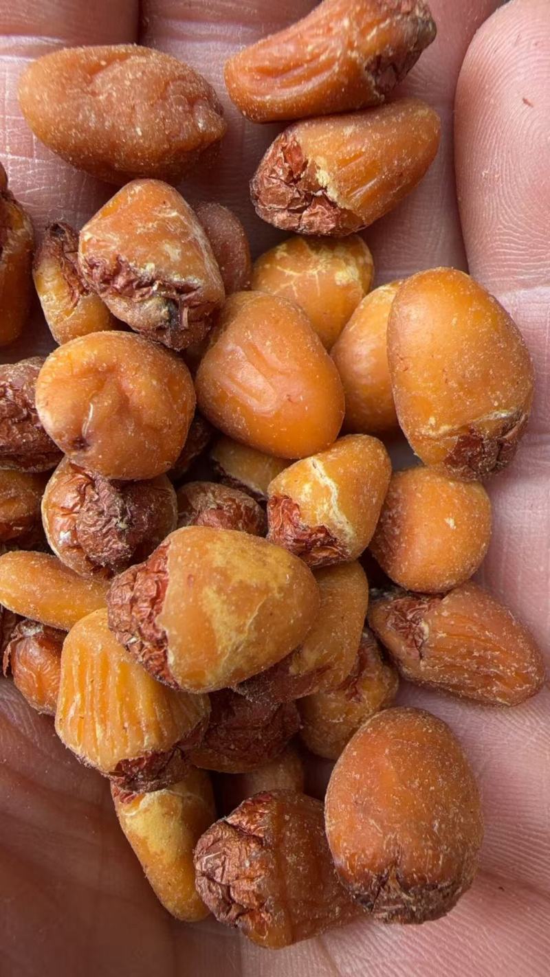 大白果干仁肉厚质优价谦