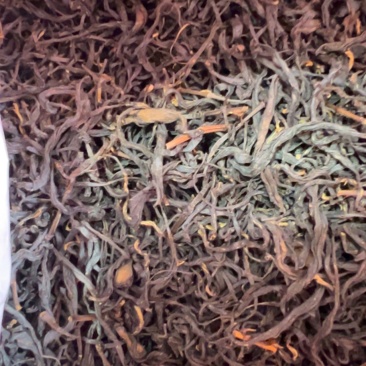 福建宁德正宗福鼎红茶