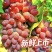 茉莉香葡萄云南弥勒直发新品上市产地直销香甜多汁