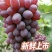 茉莉香葡萄云南弥勒直发新品上市产地直销香甜多汁