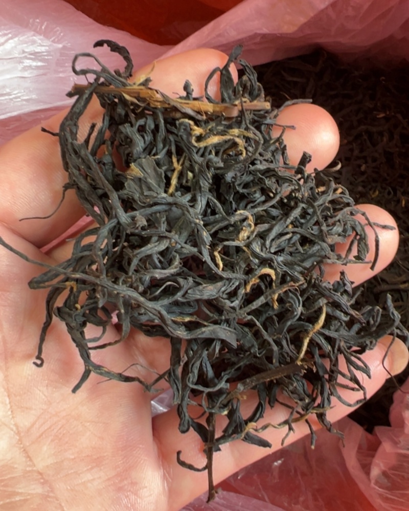福建宁德正宗福鼎红茶